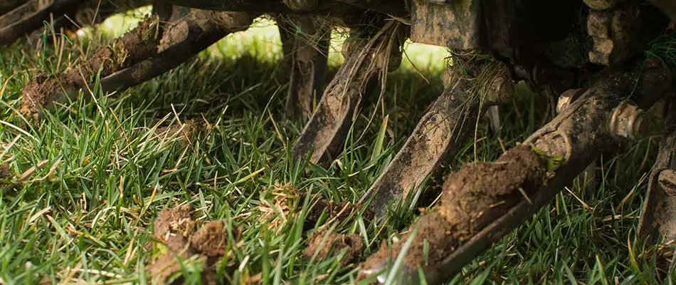 4 Reasons Your Lawn Needs Aeration & Overseeding