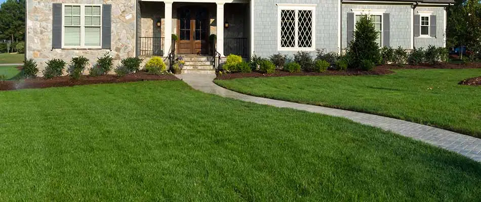 A healthy and thick lawn in Carmel, that is the result of scheduled fertilization & weed control services.