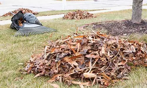 Fall cleanup with leaf removal at a residential property in Noblesville.