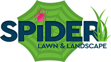 Spider Lawn & Landscape Logo