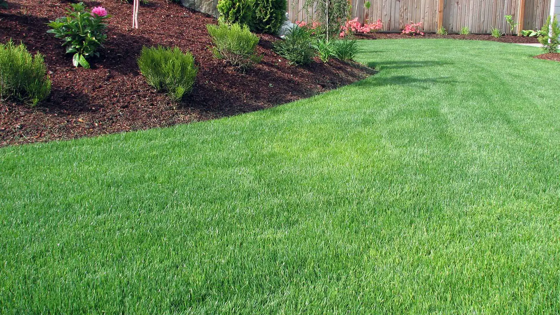 Lawn and landscape maintenance in Fishers, IN.