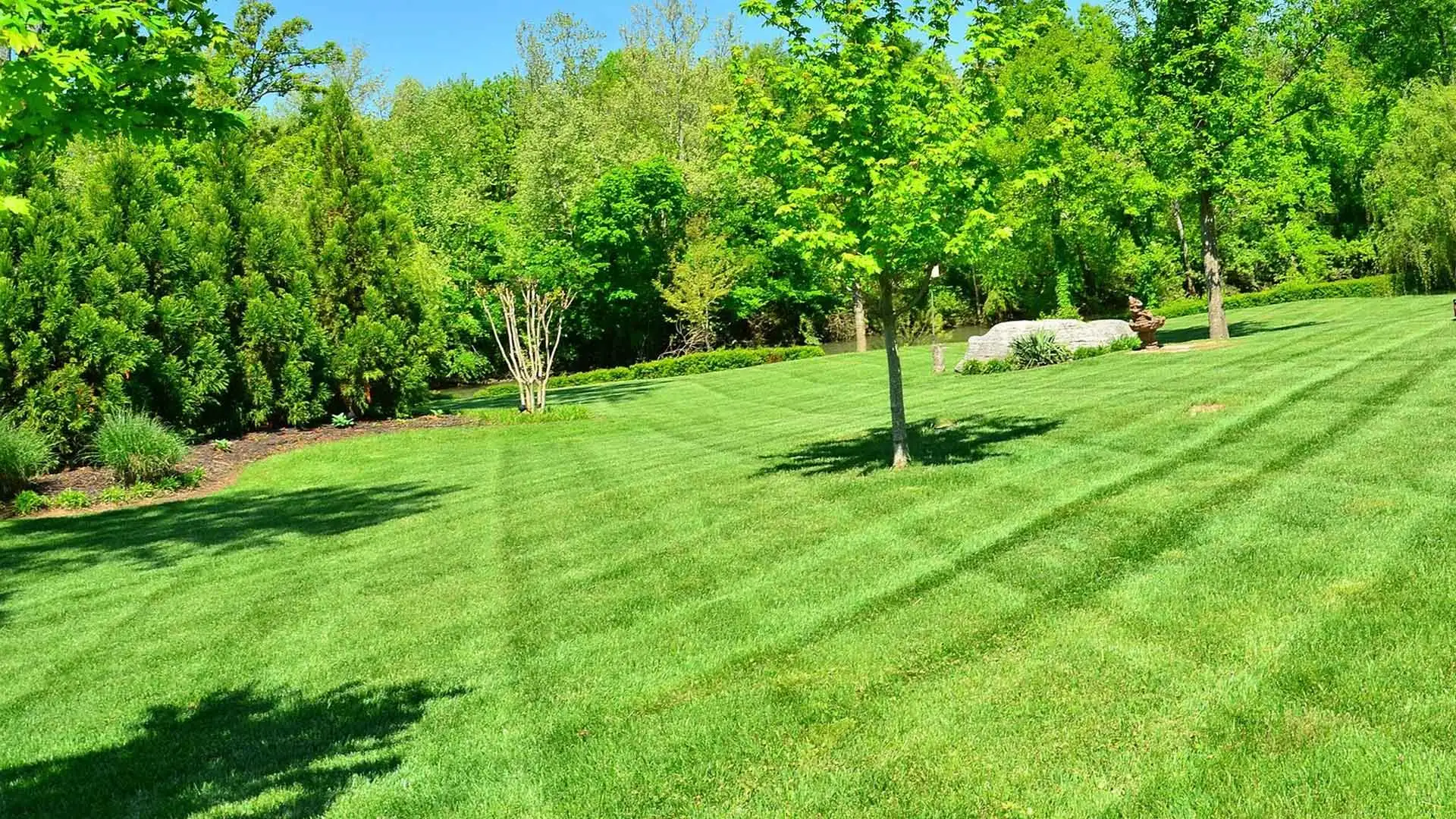 A large lawn in Carmel being mowed regularly by Spider Lawn & Landscape.