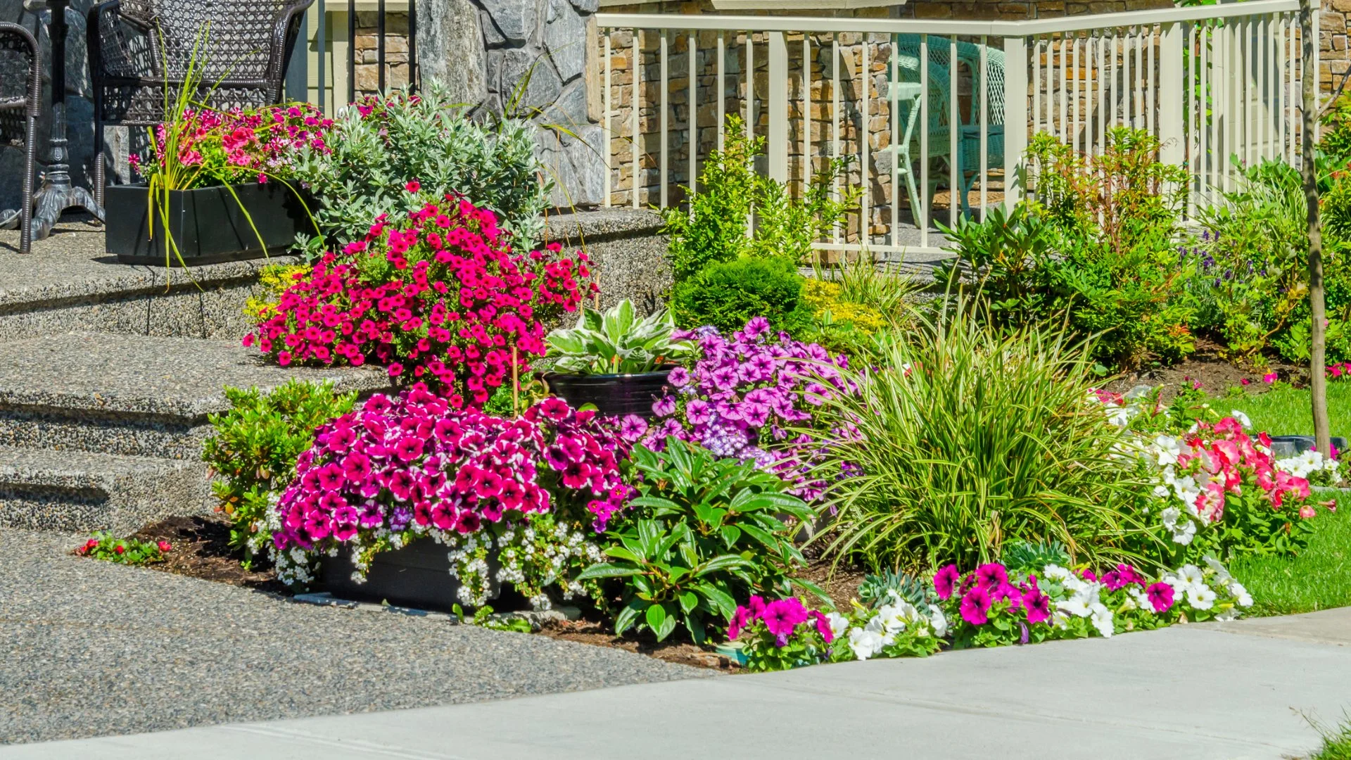 Consider These 3 Things Before Planting Fall Annual Flowers