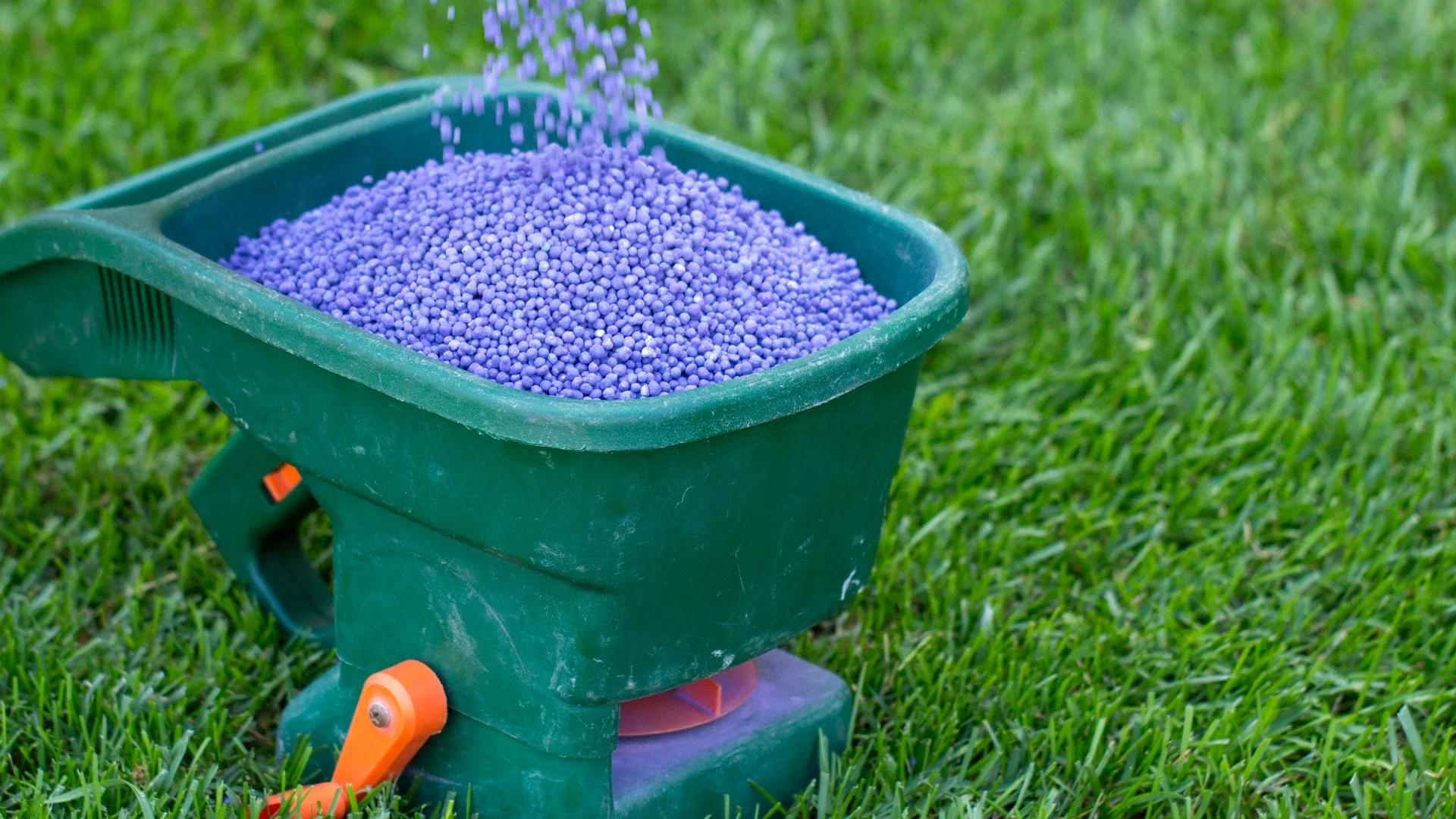 Does It Matter How Much Fertilizer You Use for Your Lawn?