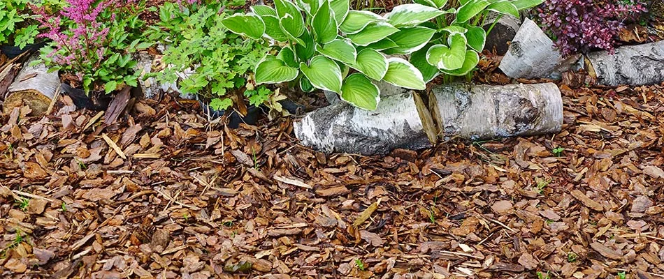 Top 4 Mulch and Rock for Landscape Beds in Indiana