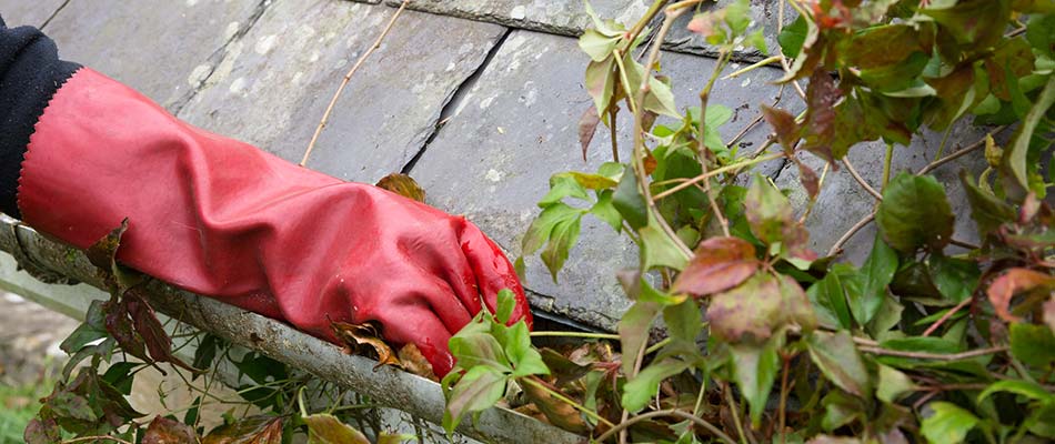 4 Ways Clogged Gutters Can Damage Your Property