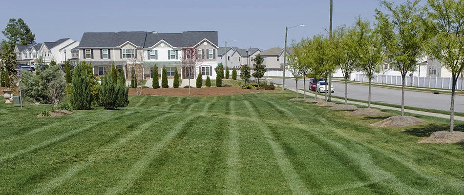 A freshly mowed lawn on a commercial property in Noblesville, IN.