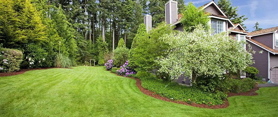 Well landscaped home lawn near Carmel, IN.