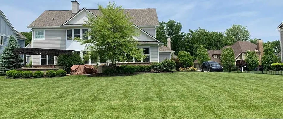 Mowing Height Guide for Indiana Lawns