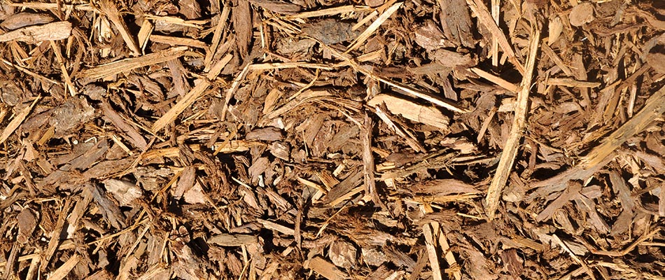 A bed of brown shredded bark mulch by a home in Noblesville, IN.