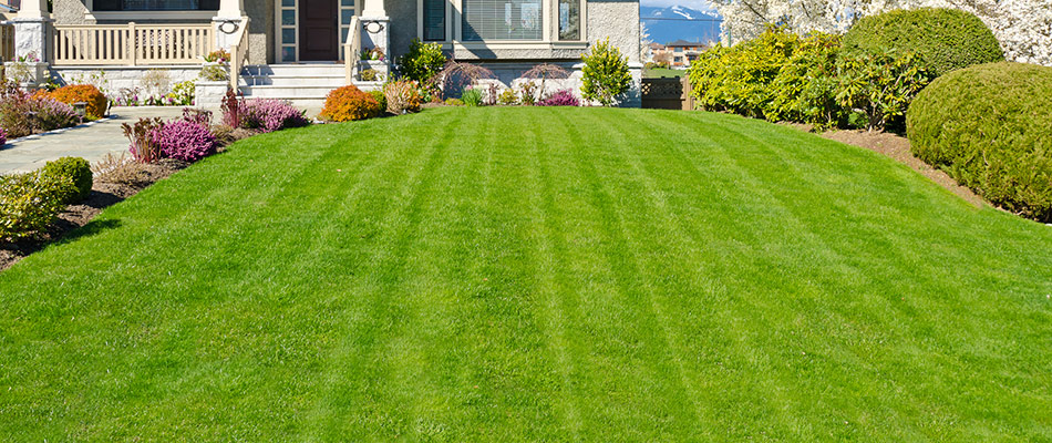 Freshly mowed lawn in front of a home in Fishers, IN. 