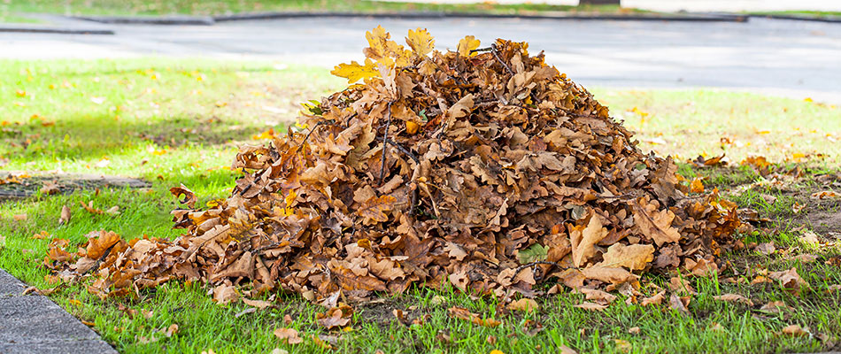 A leaf pile in need of removal on a property in Fishers, IN. 