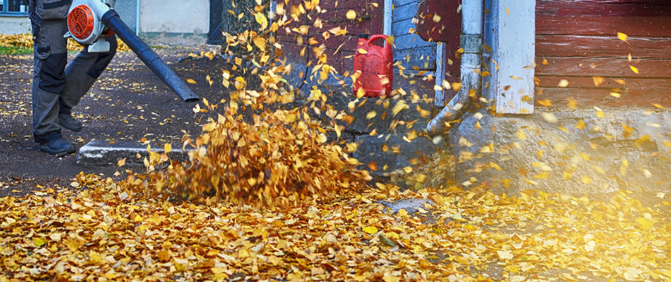 Professional blowing leaves off of property in Carmel, IN.