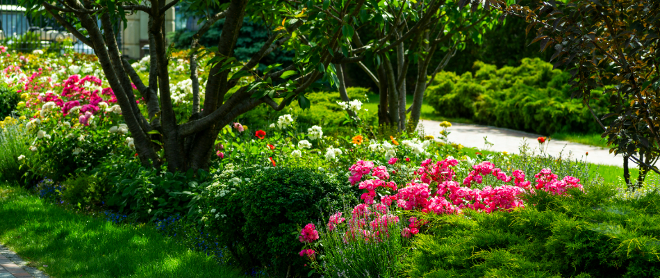 Vibrant trees and flowers planted in a landscape bed alongside a walkway on a property in Carmel, IN. 