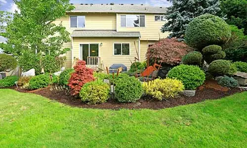 Professionally trimmed shrubs in front of a home in Carmel.